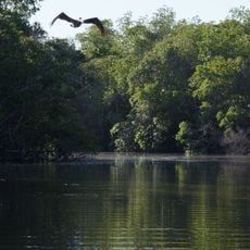 Laguna de Manialtepec