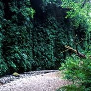 Alternatieve bestemmingen in Californië