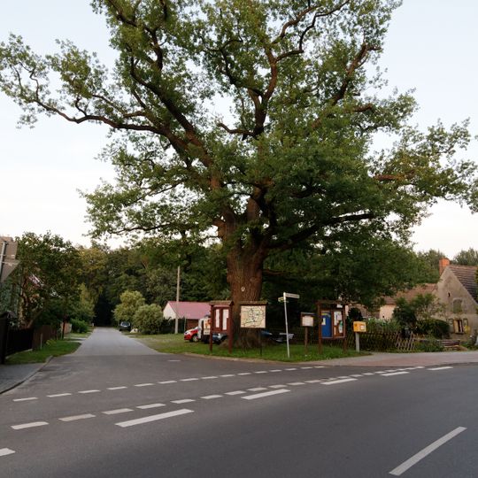 Naturdenkmal Eiche gegenüber dem Gasthaus  in Philadelphia