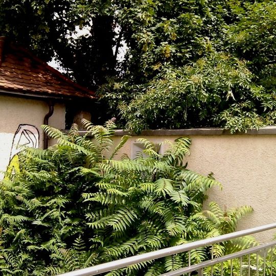 Rest der mittelaltlerlichen Stadtmauer und der landesfürstlichen Burg