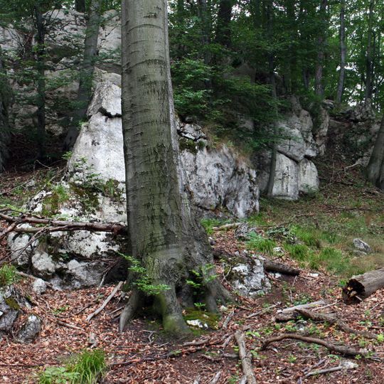 Nature reserve Sokole Góry