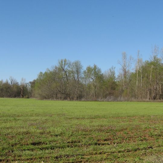 Marshall Site