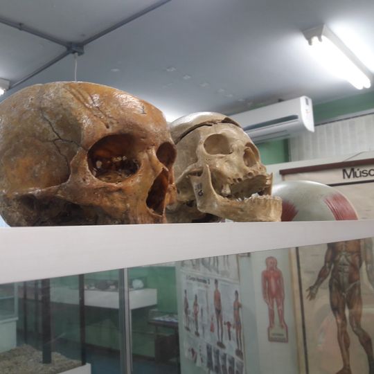 Centro de Ciências de Araraquara