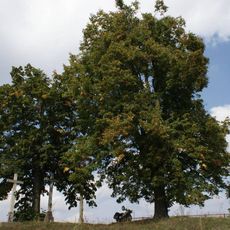 Tři kříže nad dálnicí D1 západně od Velkého Meziříčí