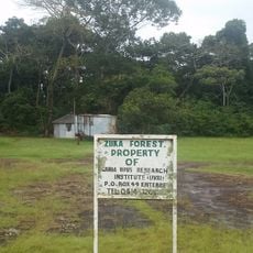 Floresta de Zika