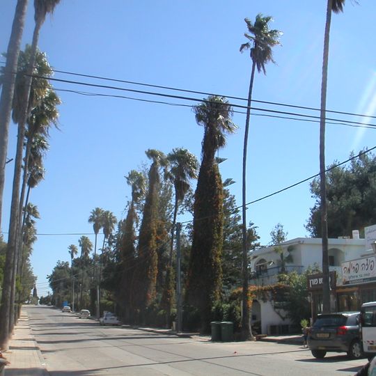 Binyamina-Giv'at Ada