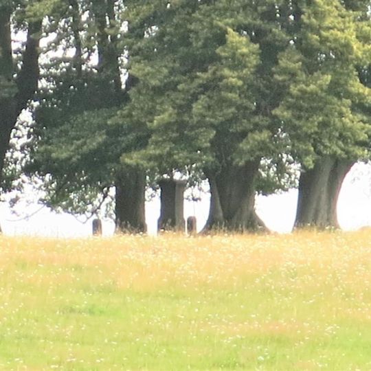 Kříž na pastvině severně od Mikulášovic