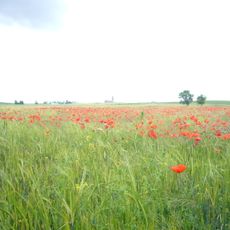 Tierra de Cantalapiedra