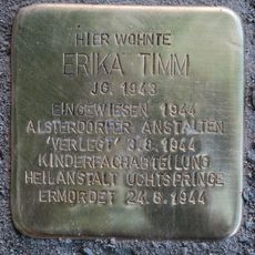Stolperstein en memoria de Erika Timm