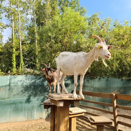 La Ferme de Découverte Saint-André