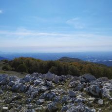 Monte Lupone