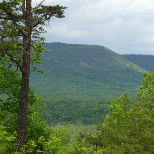 Shenandoah River Raymond R. "Andy" Guest Jr. State Park