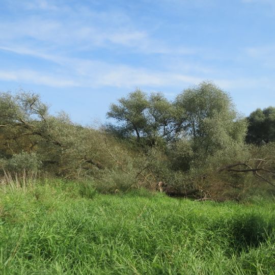 Tabakmühlental - Oberster Weiher