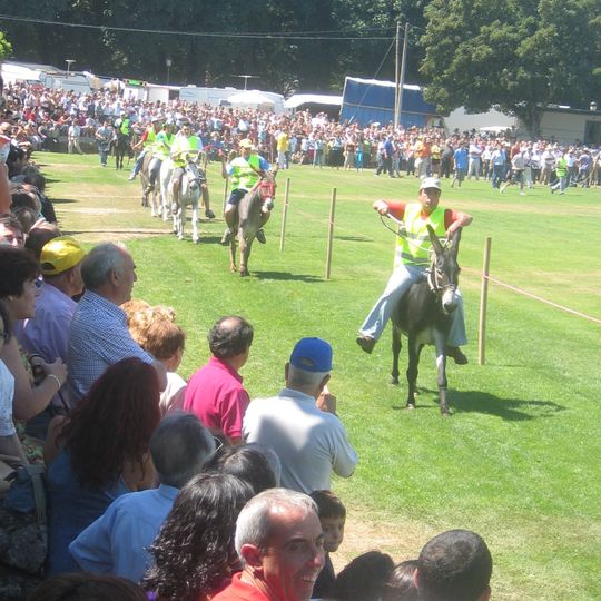 Vilasante, O Saviñao