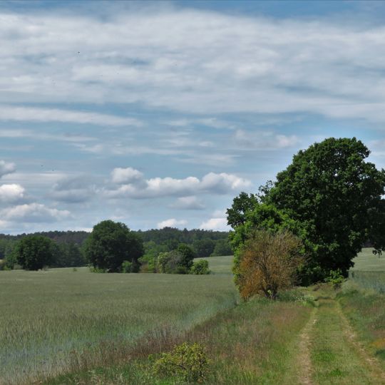 Fläming Heath
