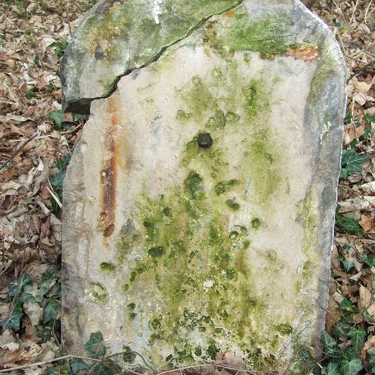 Milestone 220 Metres North West Of High Lodge