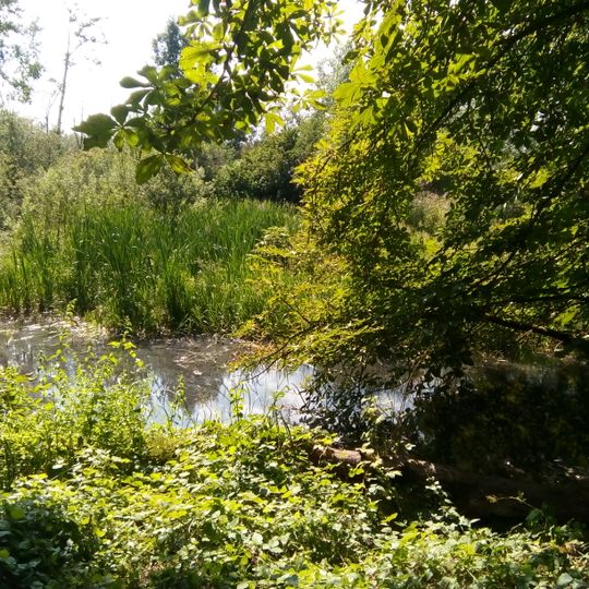 Lahntal zwischen Marburg und Gießen