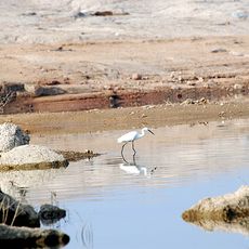 Shamirpet Lake