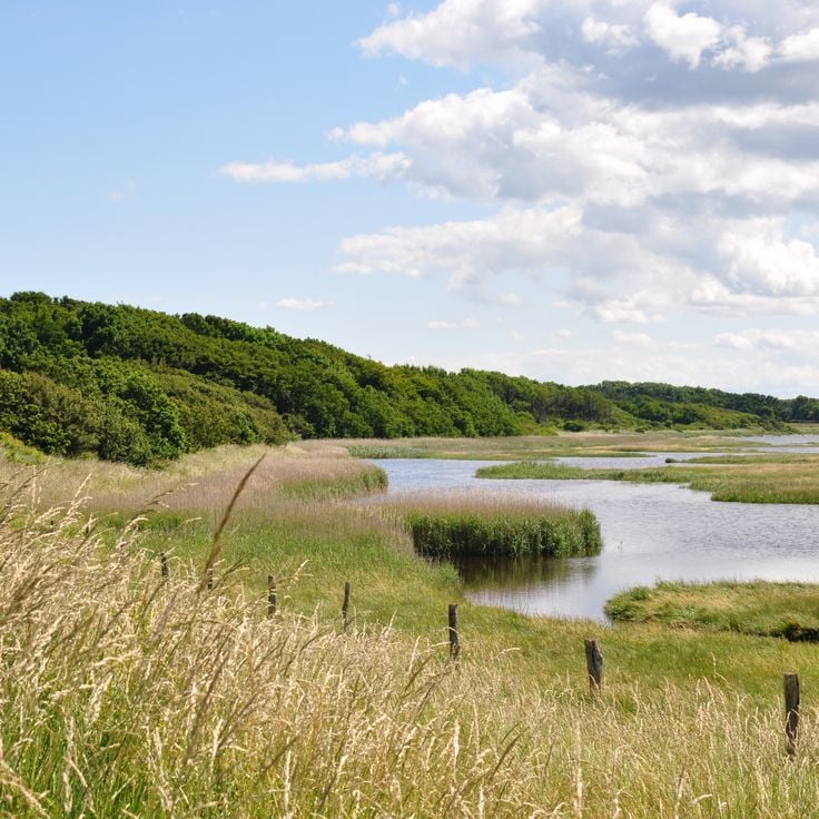 Natuurreservaat Geltinger Birk