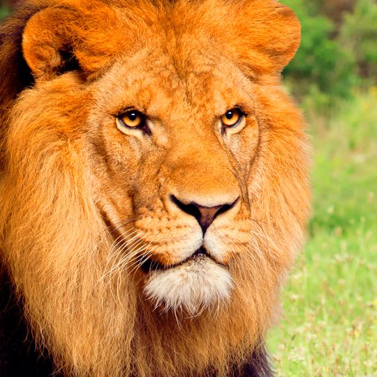 Terra Natura Benidorm