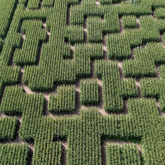 Pop Corn Labyrinthe ST-MALO