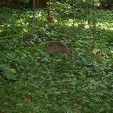 Cmentarz rodowy w Markowie