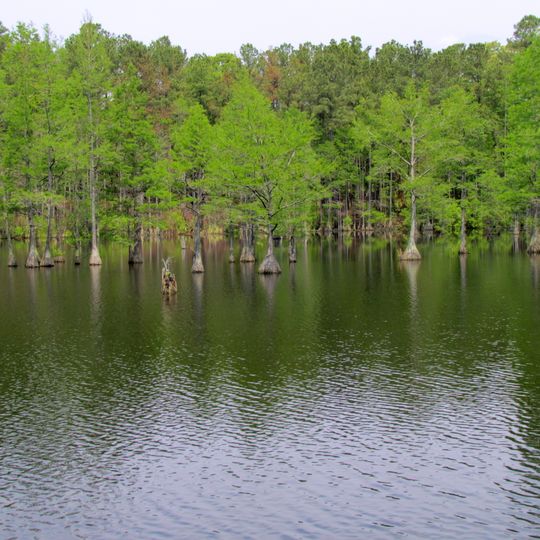 Carvers Creek State Park