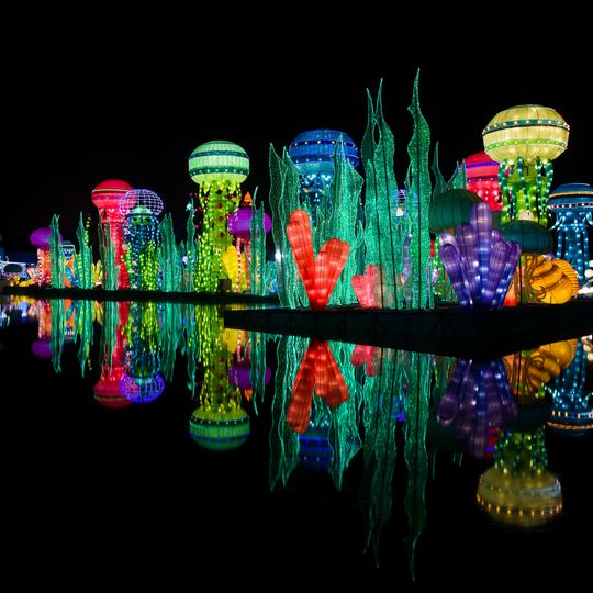 Dubai Garden Glow