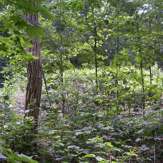 Grafheuvel, alsmede een zone
