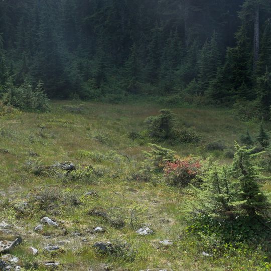 Parc provincial Pinecone Burke