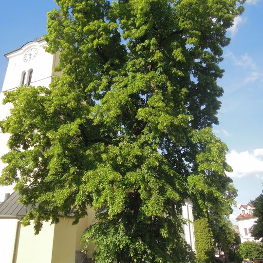 4 lípy u kostela