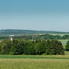 Kleingewässer mit Feldgehölz im Unteren Altgrötzinger Tal