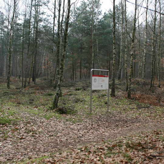 Castellum of Neuwirtshaus