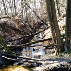 Rezerwat przyrody Gołobórz