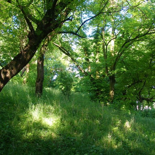 Pozostałości parku