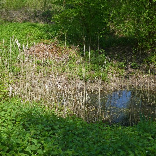 Feuchtgebiet im Gewann Mittlerer See