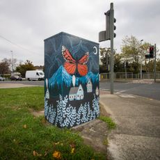 Wildlife in the Suburbs