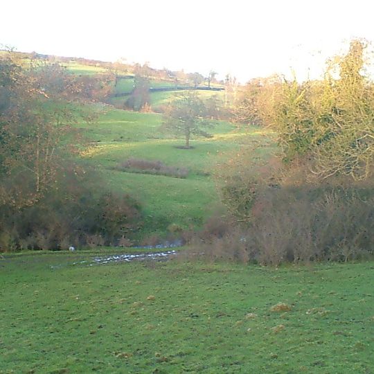Atlow moated site, enclosures and causeway