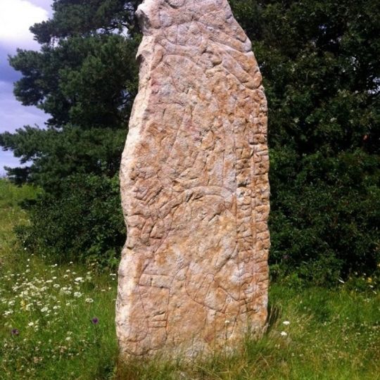 Västergötland Runic Inscription 56