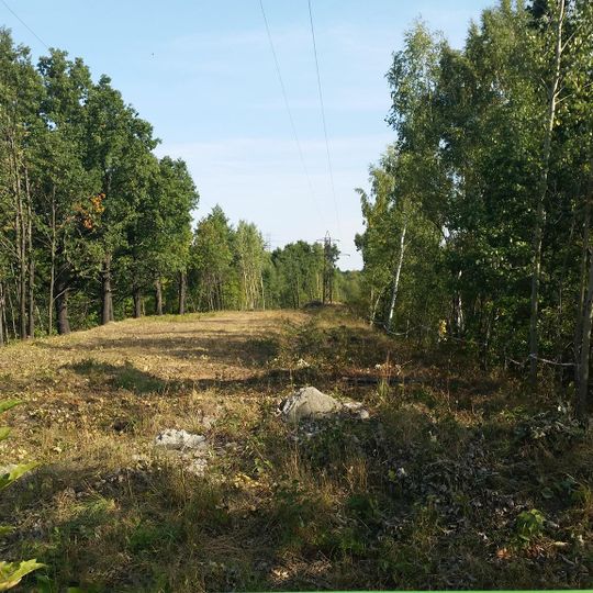 Nazi gold train
