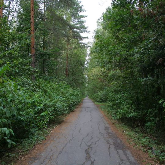 Бумажная просека