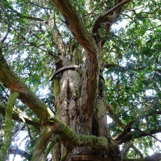 Eibe am Neuländer Deich