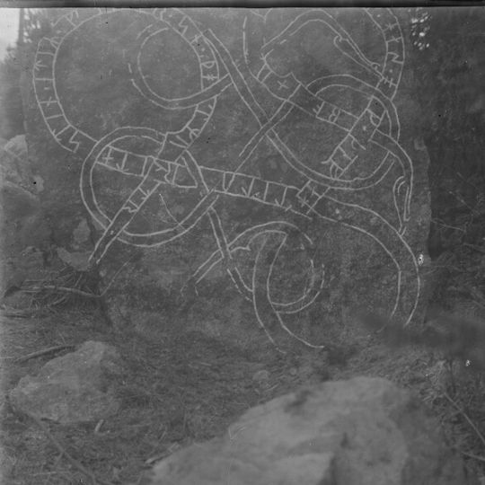 Uppland Runic Inscription 1010