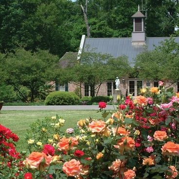 O que a Louisiana esconde além de Nova Orleans