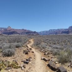 Plateau Point Trail