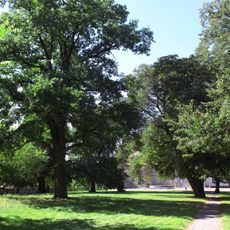 Park dworski w Zakrzewie