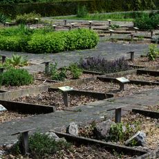 Tuin van Geneeskrachtige planten