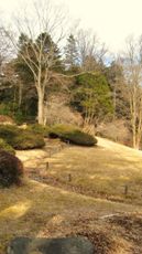 Nikko Botanical Garden