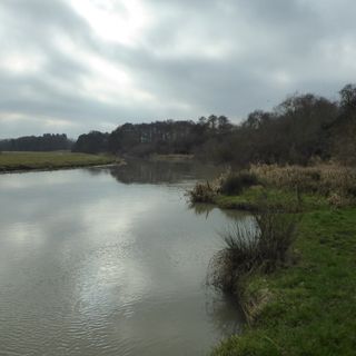 Wadenhoe Marsh and Achurch Meadow