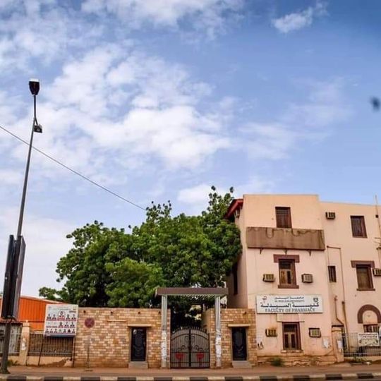 Neelain University